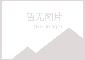 尖山区靖易能源有限公司